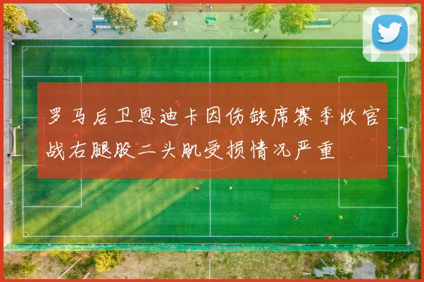 罗马后卫恩迪卡因伤缺席赛季收官战右腿股二头肌受损情况严重